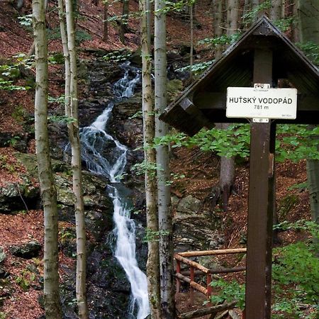 Apartmán mezi stromy Rokytnice nad Jizerou Exteriér fotografie