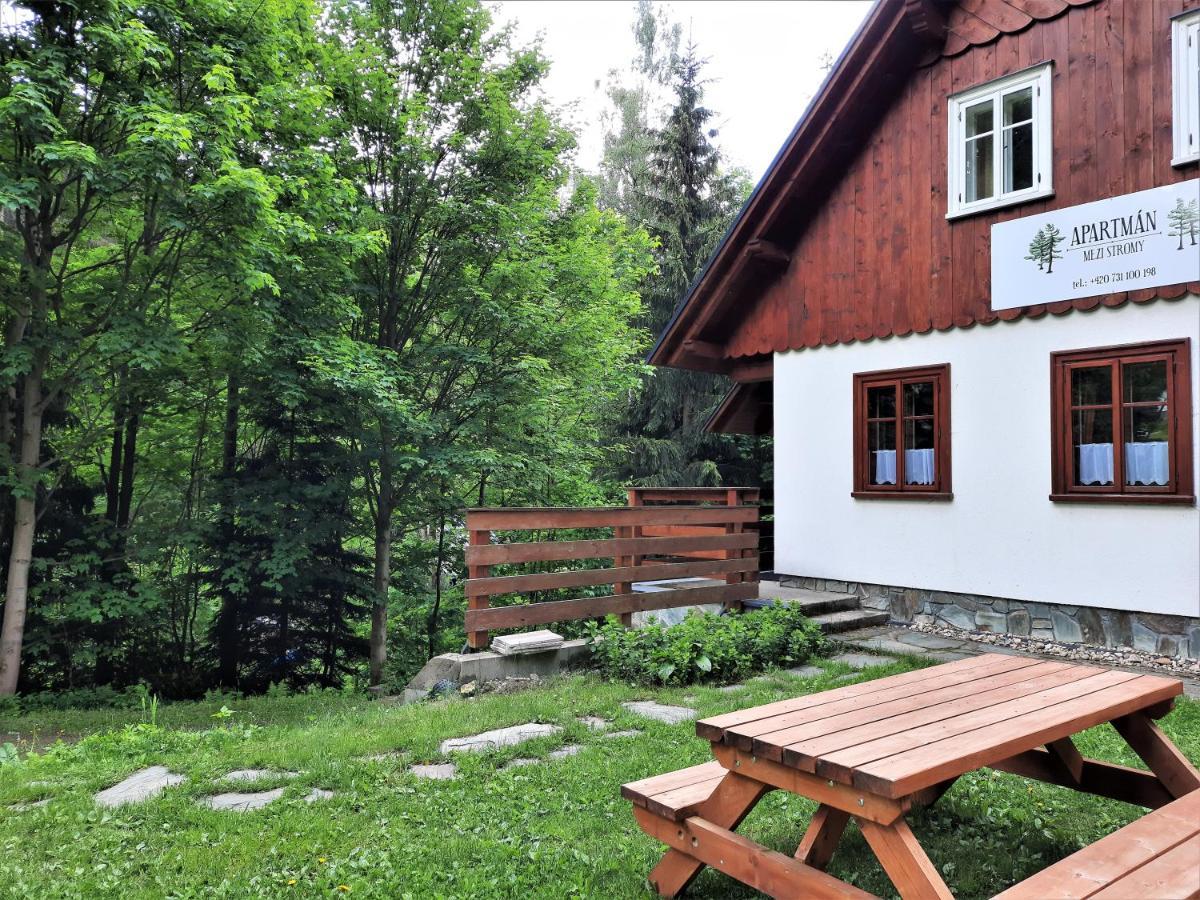 Apartmán mezi stromy Rokytnice nad Jizerou Exteriér fotografie