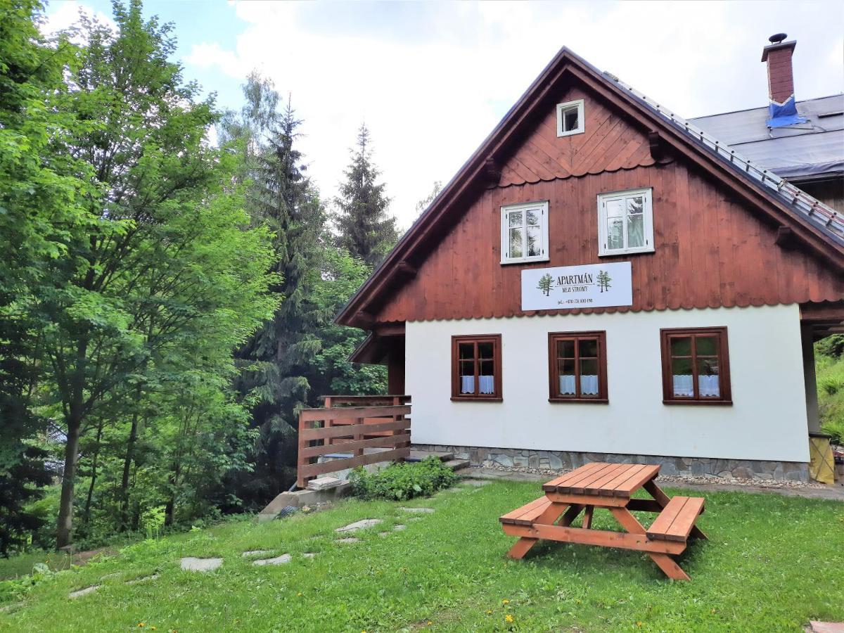 Apartmán mezi stromy Rokytnice nad Jizerou Exteriér fotografie