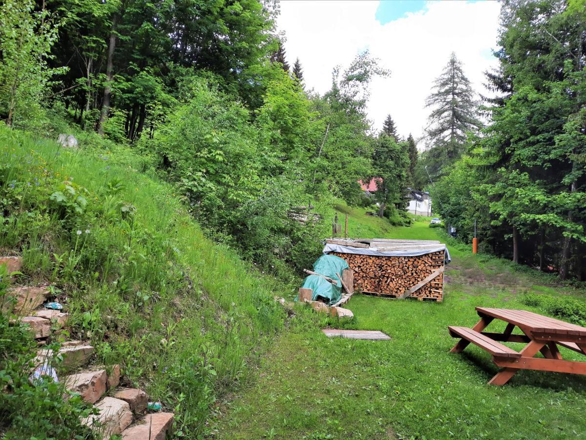 Apartmán mezi stromy Rokytnice nad Jizerou Exteriér fotografie