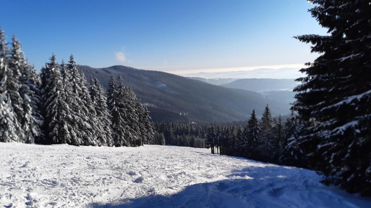 Apartmán mezi stromy Rokytnice nad Jizerou Exteriér fotografie