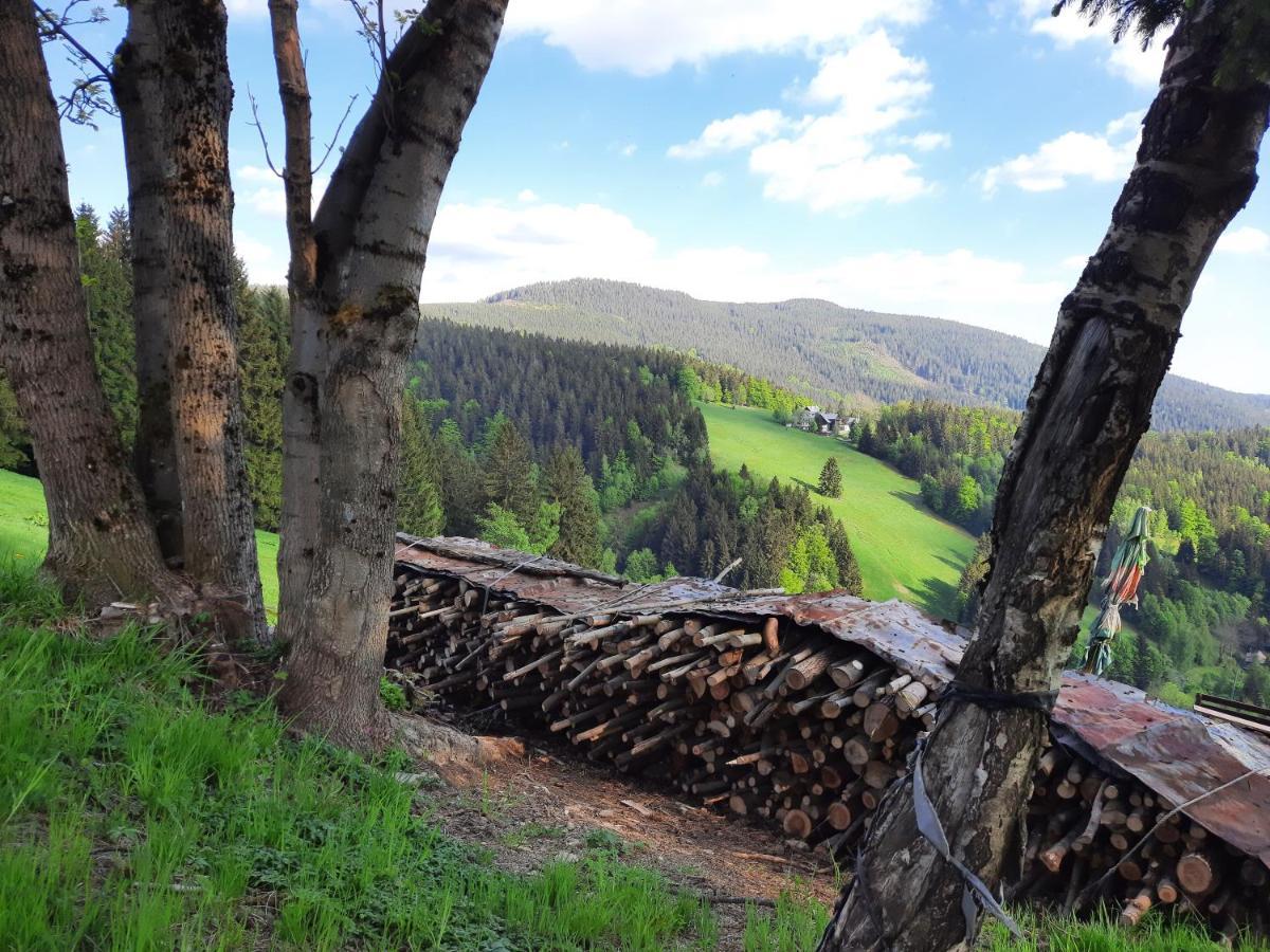 Apartmán mezi stromy Rokytnice nad Jizerou Exteriér fotografie