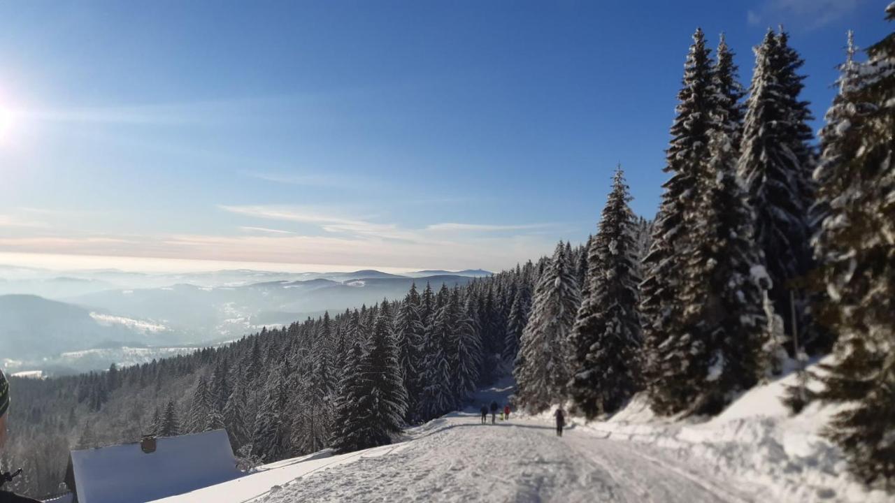 Apartmán mezi stromy Rokytnice nad Jizerou Exteriér fotografie