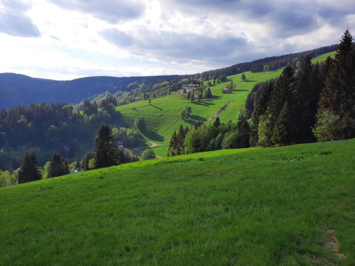 Apartmán mezi stromy Rokytnice nad Jizerou Exteriér fotografie